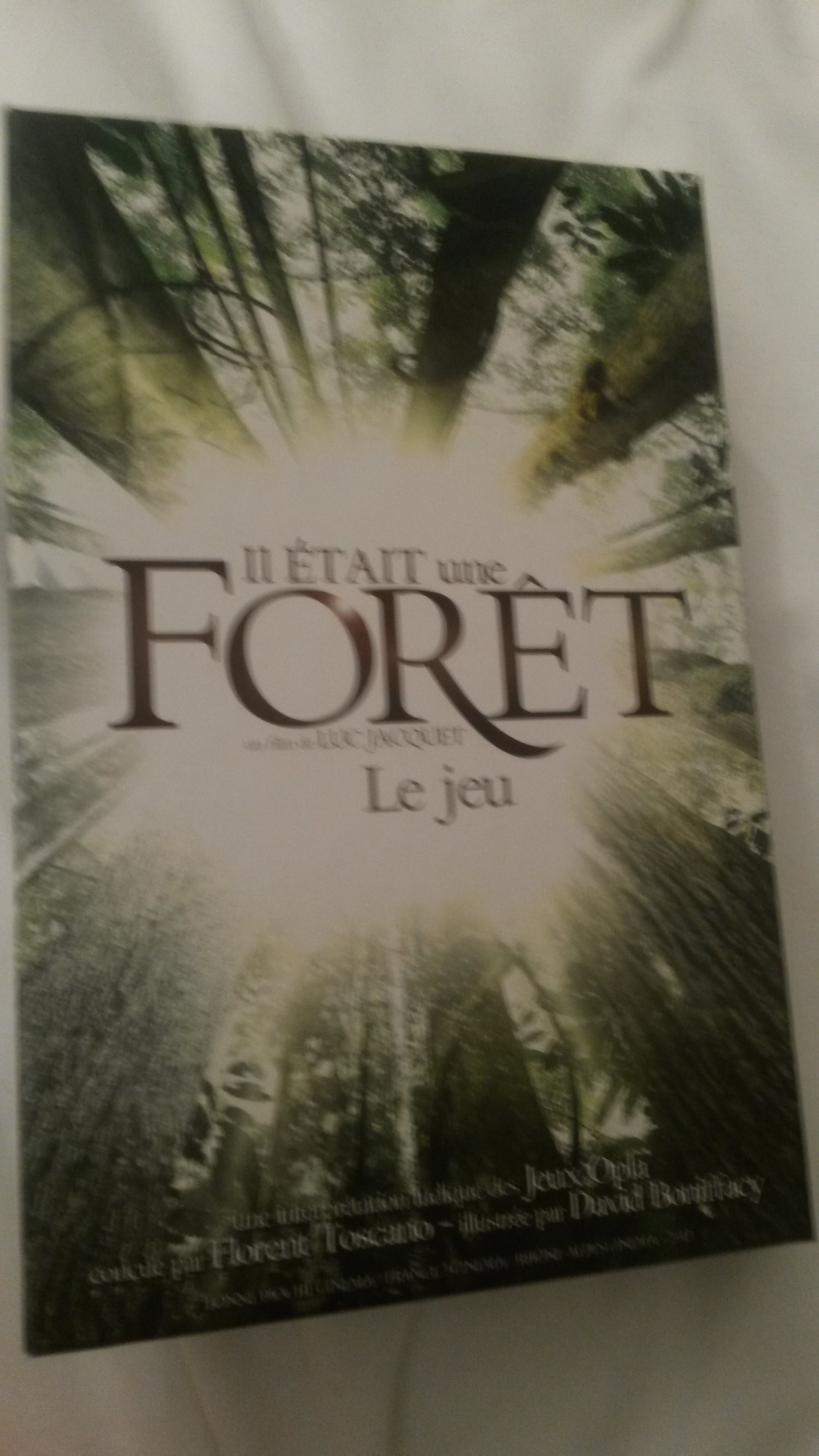 Il était une fois la forêt un bon jeu à découvrir en animation