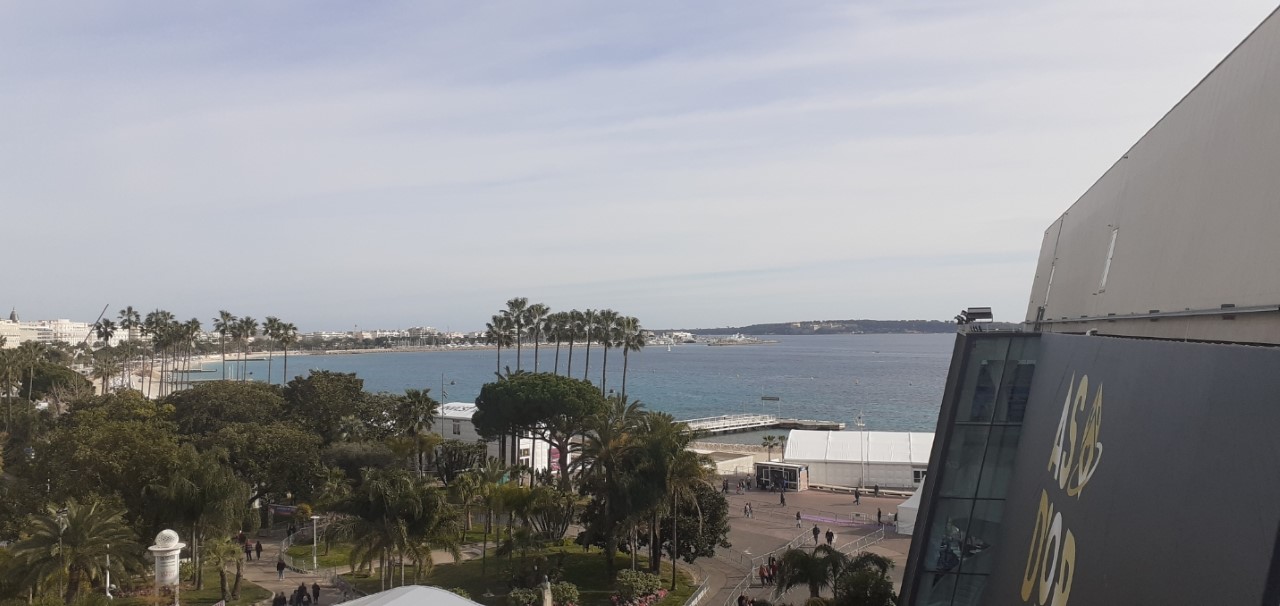 En prime une vue de la mer du haut du Palais!