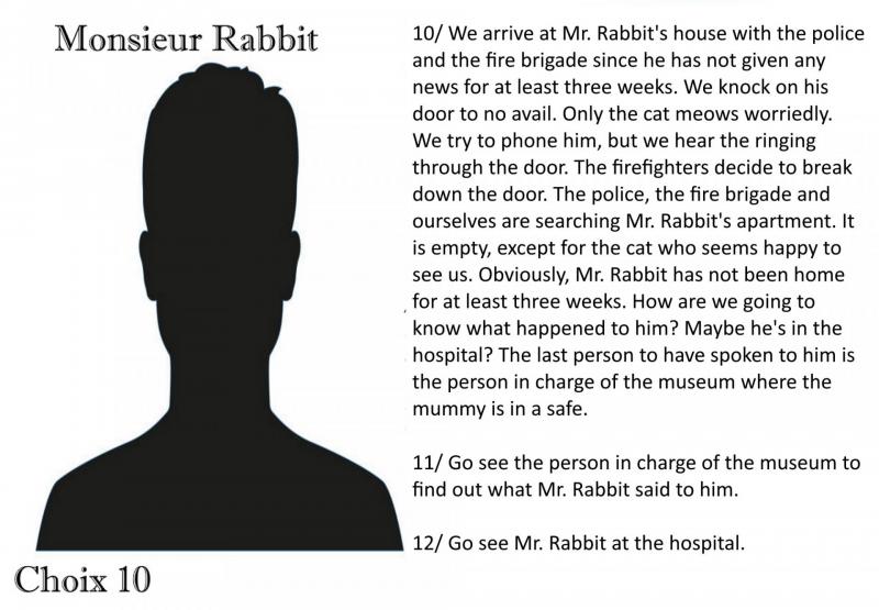 10monsieurrabbitchoix10en