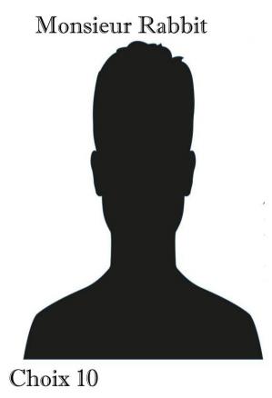 10monsieurrabbitchoix10seul