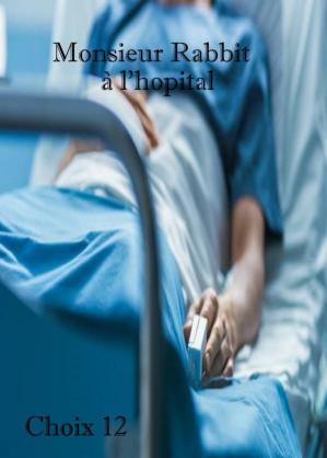 12mrrabbithopitalchoix12seul