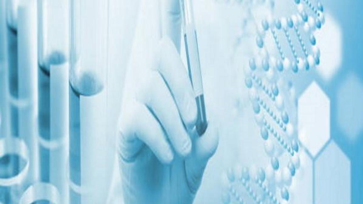 La malédiction de la momie