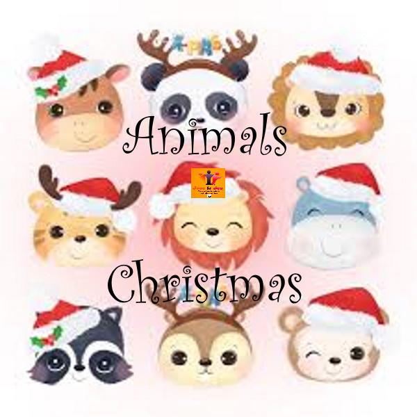 Animalschristmas