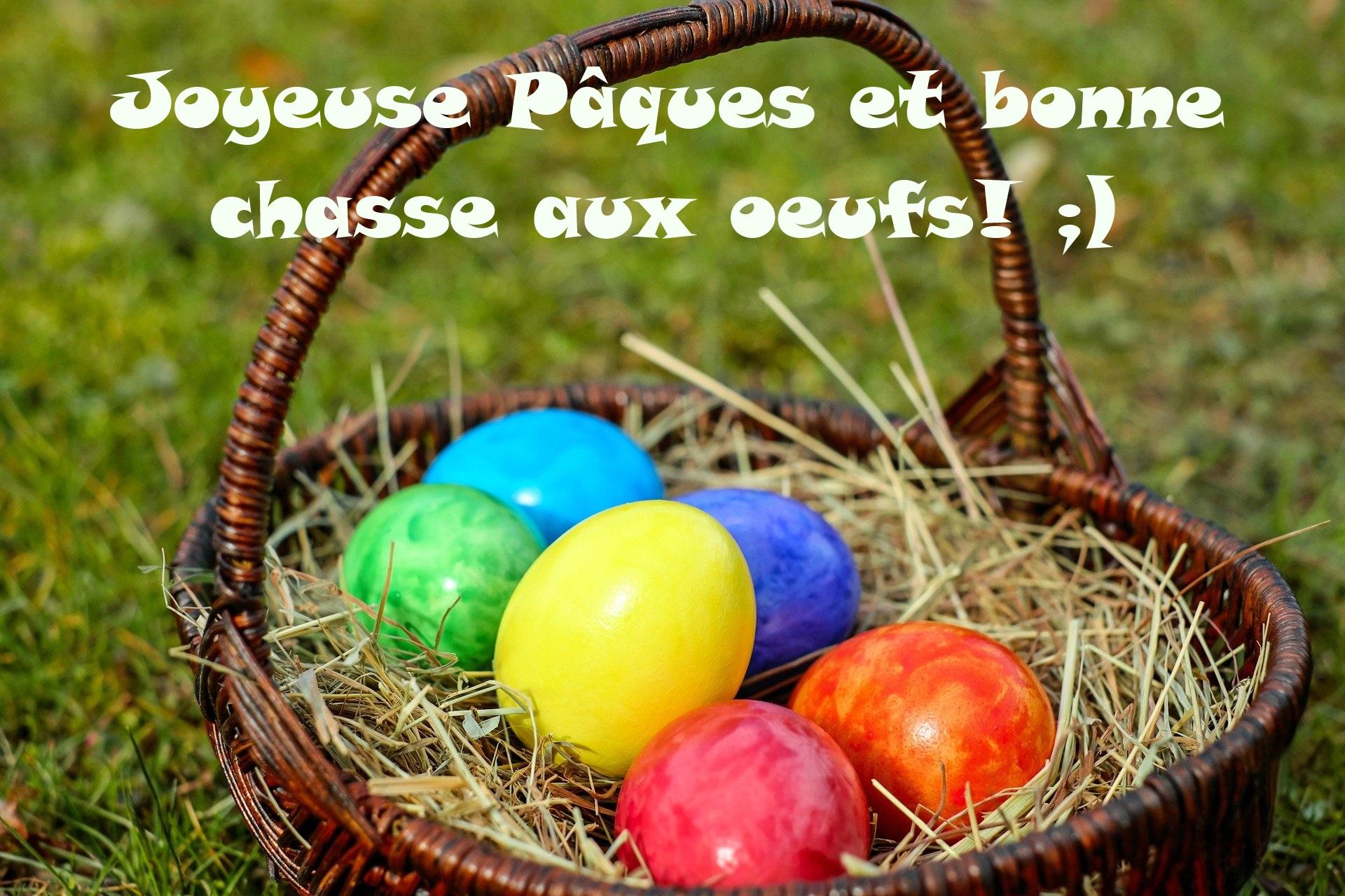 Bonnechasseauxoeufs