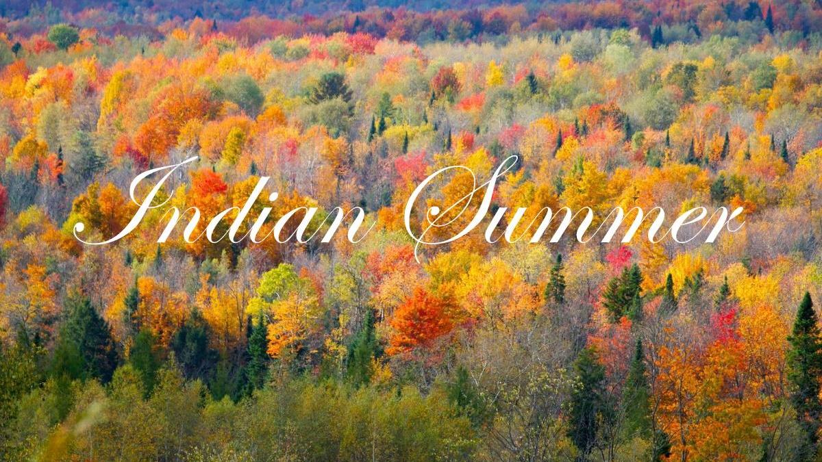 Notre vitrine: Indian Summer