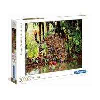 Leopard2000pcs1