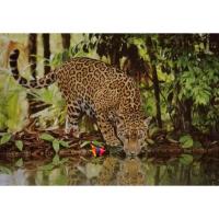 Leopard2000pcs21