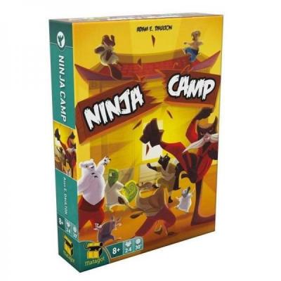 Ninja camp1 1