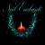 Noelenchante22carre