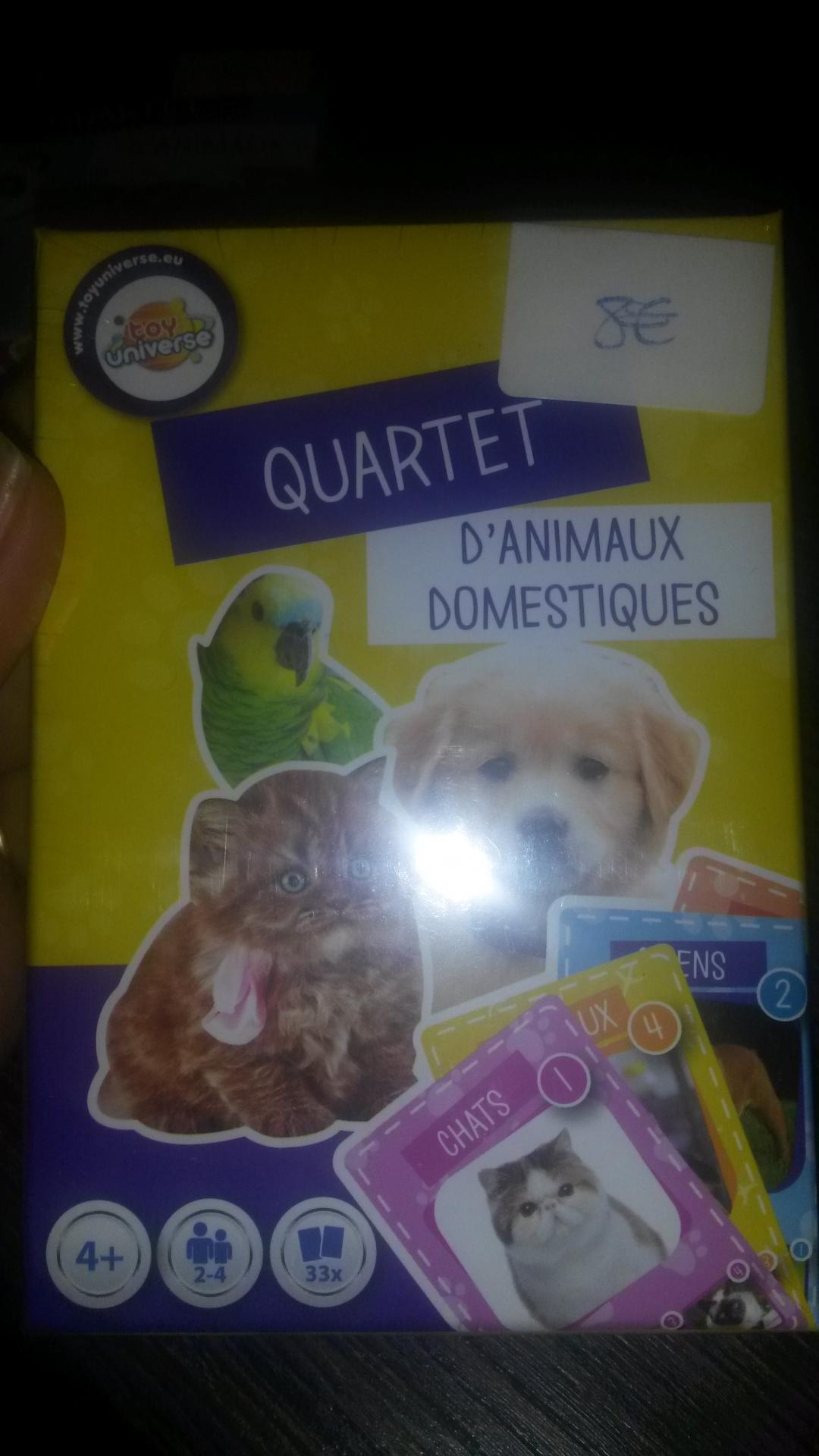 Quartet animaux domestiques1