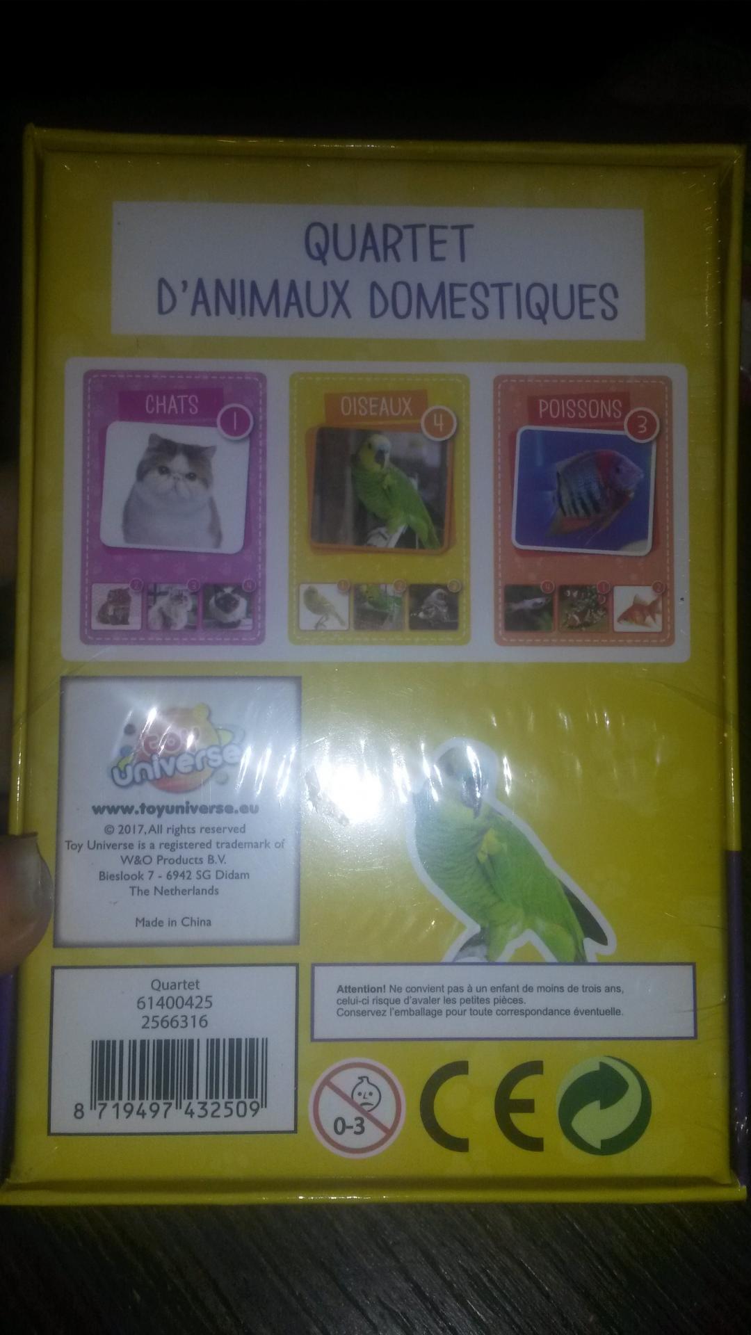 Quartet animaux domestiques2